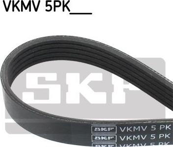 SKF VKMV 5PK1450 - Ιμάντας poly-V spanosparts.gr