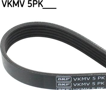 SKF VKMV 5PK1125 - Ιμάντας poly-V spanosparts.gr