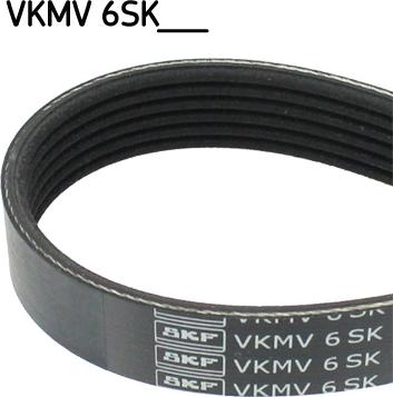 SKF VKMV 6SK1019 - Ιμάντας poly-V spanosparts.gr