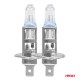 H1 12V 55W P14,5s LumiTec NEXT GENERATION +135%  2ΤΕΜ.