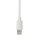Καλώδιο Φορτισης / Συγχρονισμού USB για Apple 100cm 8pin με αντάπτορα USB αναπτήρα 12V/24V και αντάπτορα 220V Καλώδιο Φορτισης / Συγχρονισμού USB για Apple 100cm 8pin με αντάπτορα USB αναπτήρα 12V/24V και αντάπτορα 220V