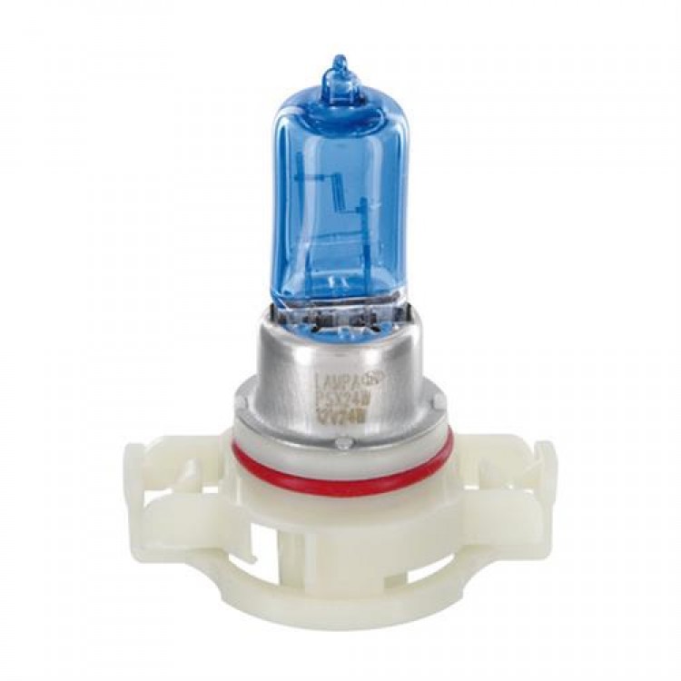 PSX24W 12V 24W 310lm PG20-7 4.100K BLU-XE 2τεμ. σε κουτί PSX24W 12V 24W 310lm PG20-7 4.100K BLU-XE 2τεμ. σε κουτί