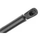 ΑΜΟΡΤΙΣΕΡ ΠΟΡΤ ΜΠΑΓΚΑΖ ΓΙΑ AUDI A2 2000-2005 500mm/420N orig.8Z0827552C ΝΤΥ - 1 Τεμ. ΑΜΟΡΤΙΣΕΡ ΠΟΡΤ ΜΠΑΓΚΑΖ ΓΙΑ AUDI A2 2000-2005 500mm/420N orig.8Z0827552C ΝΤΥ - 1 Τεμ.