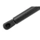 ΑΜΟΡΤΙΣΕΡ ΠΟΡΤ ΜΠΑΓΚΑΖ ΓΙΑ TOYOTA PRIUS+ PLUS 2011+ 615mm/555N orig.689600W790 ΝΤΥ - 1 Τεμ. ΑΜΟΡΤΙΣΕΡ ΠΟΡΤ ΜΠΑΓΚΑΖ ΓΙΑ TOYOTA PRIUS+ PLUS 2011+ 615mm/555N orig.689600W790 ΝΤΥ - 1 Τεμ.