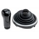 ΠΟΜΟΛΟ ΤΑΧΥΤΗΤΩΝ ΜΑΡΚΕ ΓΙΑ FORD FIESTA 2002/ FUSION 2002/TRANSIT 2000/TRANSIT CONNECT 2002/TOURNEO CONNECT 2002 ΜΕ ΦΟΥΣΚΑ ΠΟΜΟΛΟ ΤΑΧΥΤΗΤΩΝ ΜΑΡΚΕ ΓΙΑ FORD FIESTA 2002/ FUSION 2002/TRANSIT 2000/TRANSIT CONNECT 2002/TOURNEO CONNECT 2002 ΜΕ ΦΟΥΣΚΑ