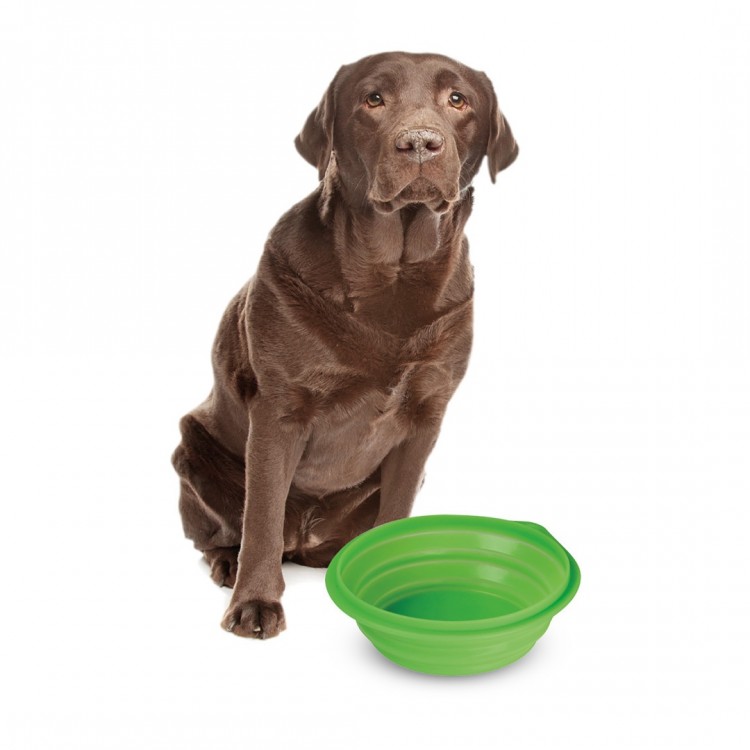 ΤΑΪΣΤΡΑ/ΜΠΟΛ ΤΑΞΙΔΙΟΥ PET TRAVEL BOWL 1000 ml ΓΙΑ ΣΚΥΛΟΥΣ/ΓΑΤΕΣ/ΚΑΤΟΙΚΙΔΙΑ ΖΩΑ (ΣΙΛΙΚΟΝΗ/ΔΙΑΦΟΡΑ ΧΡΩΜΑΤΑ) ΤΑΪΣΤΡΑ/ΜΠΟΛ ΤΑΞΙΔΙΟΥ PET TRAVEL BOWL 1000 ml ΓΙΑ ΣΚΥΛΟΥΣ/ΓΑΤΕΣ/ΚΑΤΟΙΚΙΔΙΑ ΖΩΑ (ΣΙΛΙΚΟΝΗ/ΔΙΑΦΟΡΑ ΧΡΩΜΑΤΑ)