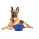 ΤΑΪΣΤΡΑ/ΜΠΟΛ ΤΑΞΙΔΙΟΥ PET TRAVEL BOWL 2000 ml ΓΙΑ ΣΚΥΛΟΥΣ/ΓΑΤΕΣ/ΚΑΤΟΙΚΙΔΙΑ ΖΩΑ (ΣΙΛΙΚΟΝΗ/ΔΙΑΦΟΡΑ ΧΡΩΜΑΤΑ) ΤΑΪΣΤΡΑ/ΜΠΟΛ ΤΑΞΙΔΙΟΥ PET TRAVEL BOWL 2000 ml ΓΙΑ ΣΚΥΛΟΥΣ/ΓΑΤΕΣ/ΚΑΤΟΙΚΙΔΙΑ ΖΩΑ (ΣΙΛΙΚΟΝΗ/ΔΙΑΦΟΡΑ ΧΡΩΜΑΤΑ)