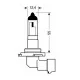 H10 ΑΛΟΓΟΝΟΥ 12V/42W/PY20d H10 ΑΛΟΓΟΝΟΥ 12V/42W/PY20d
