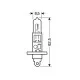 H1 ΑΛΟΓΟΝΟΥ 12V/100W 62.5mm P14,5s ΤΕΜ1 H1 ΑΛΟΓΟΝΟΥ 12V/100W 62.5mm P14,5s ΤΕΜ1